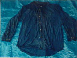 Image: Blue shirt