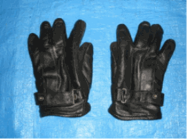 Image: gloves