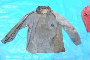 Image: Gray long sleeve polo shirt